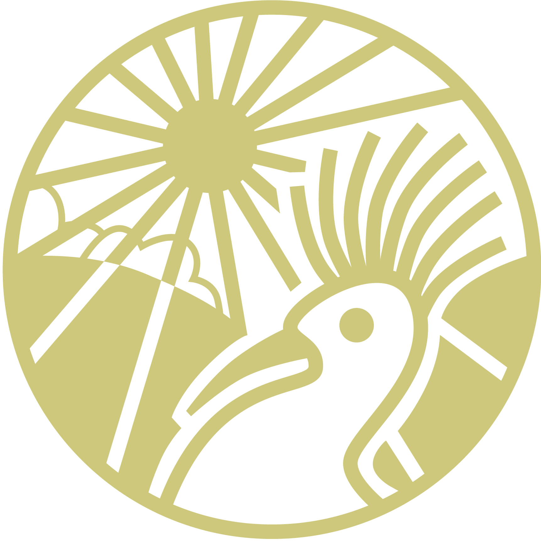 www.hupkac.si
